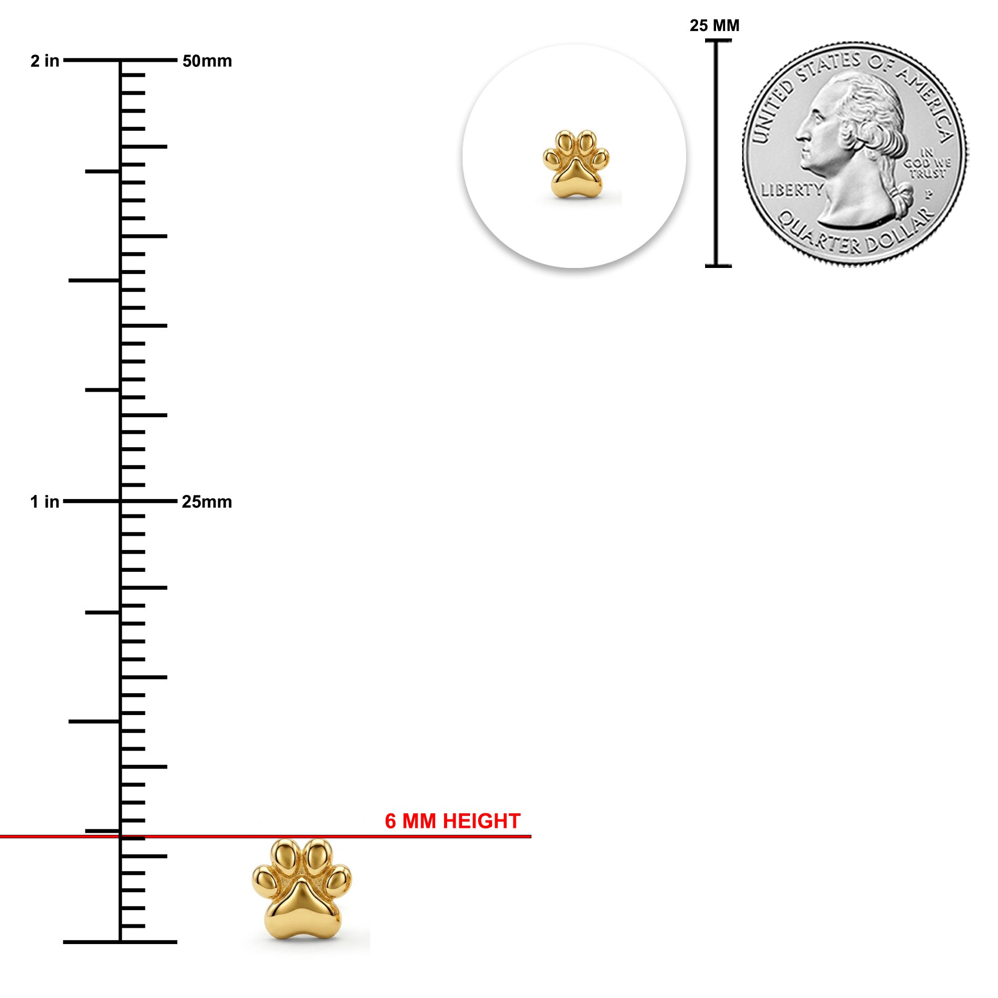 A small gold paw-shaped charm or bead shown on a white background with measurement guides: a vertical ruler in millimeters, a 25 mm coin scale reference, and a red line indicating 6 mm height. No person, animal, or real environment is present, and the image is primarily explanatory rather than a clean standalone product shot, so Instruction Diagram fits better than Product/Packaging.