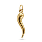 [group: small] gold italian horn pendant 