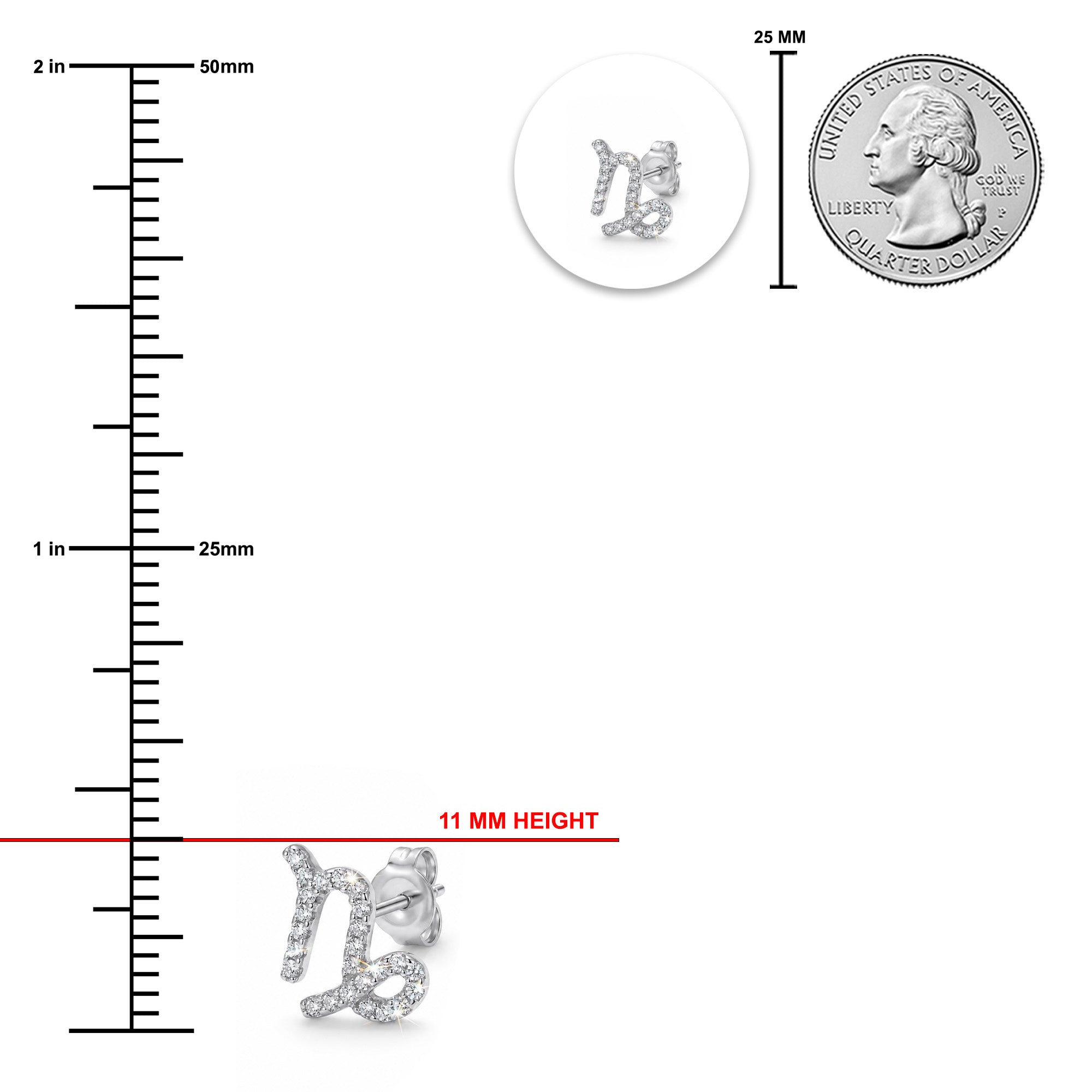 [group: silver-capricorn] silver capricorn zodiac earring