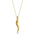 [group:large] Gold Italian Horn with rope chain 