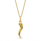 [group:small] Gold Italian Horn with rope chain 