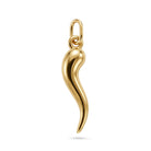 [group: mini] gold italian horn pendant 