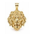 [group: large] Gold Lion's Head Pendant