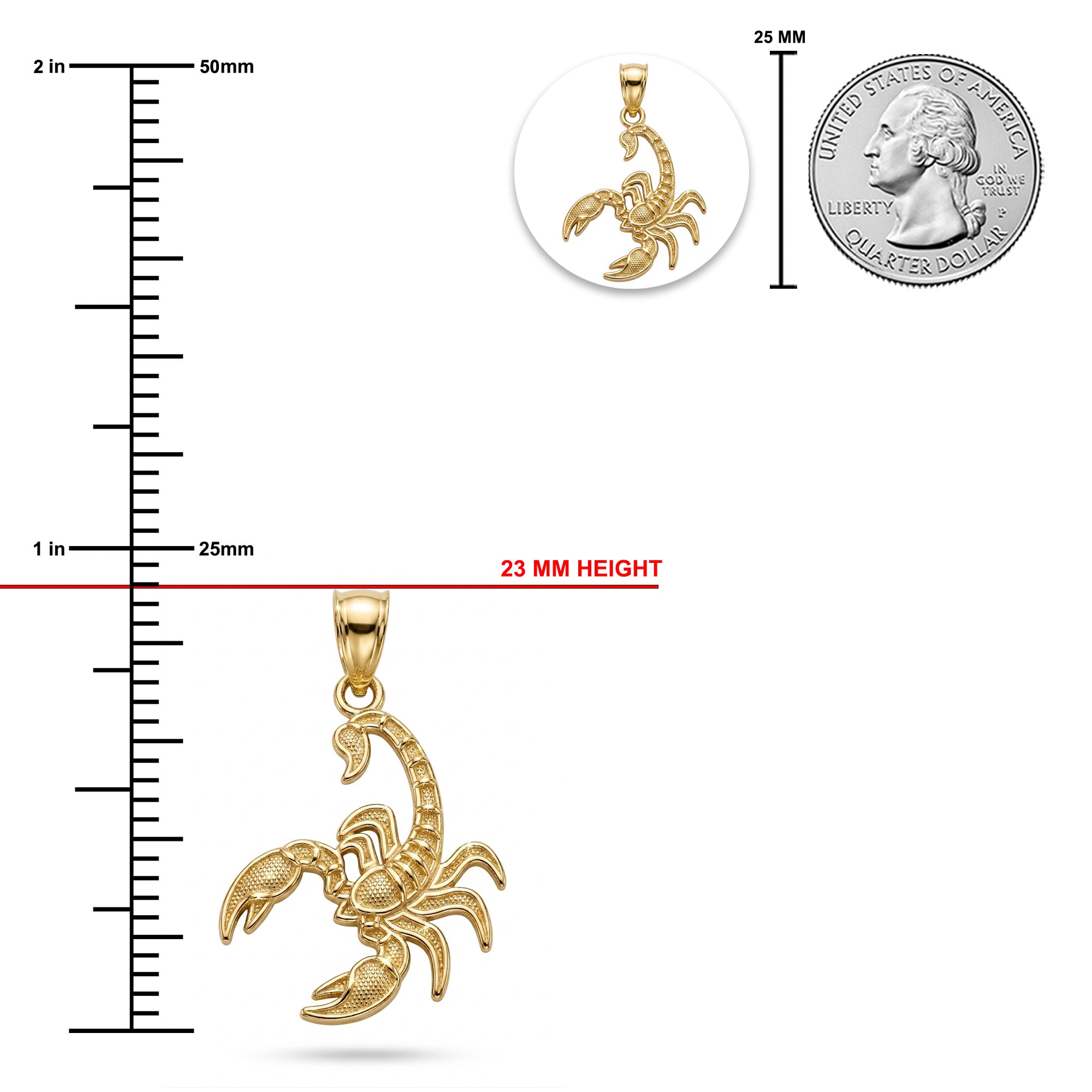 Gold scorpion pendant with measurements against a white background