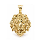 [group: small] Gold Lion's Head Pendant