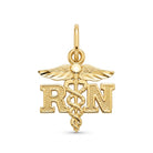 gold registered nurse pendant