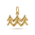 [group: aquarius] Gold aquarius zodiac pendant 