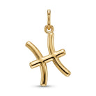 [group: pisces] Gold pisces zodiac pendant 