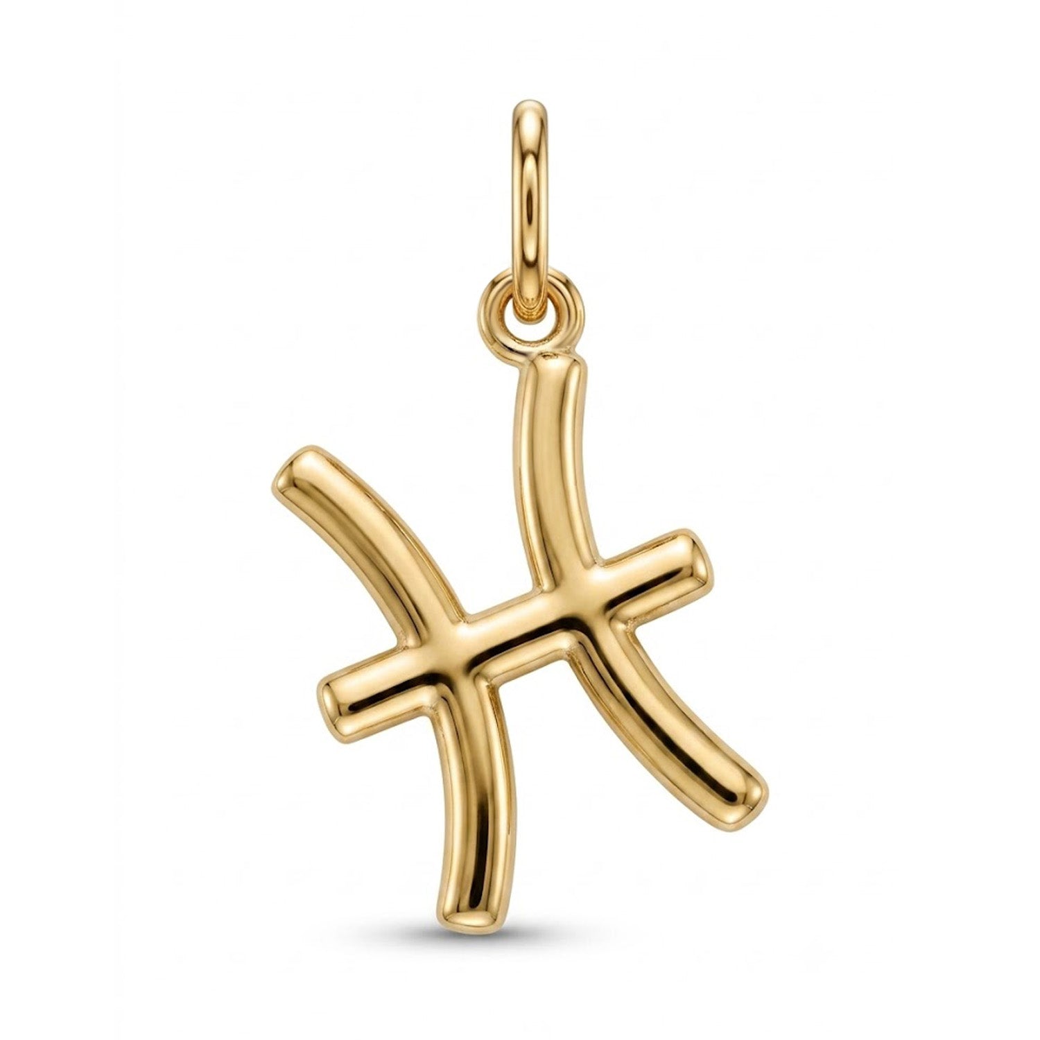 [group: pisces] Gold pisces zodiac pendant 