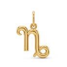 [group: capricorn] Gold capricorn zodiac pendant 