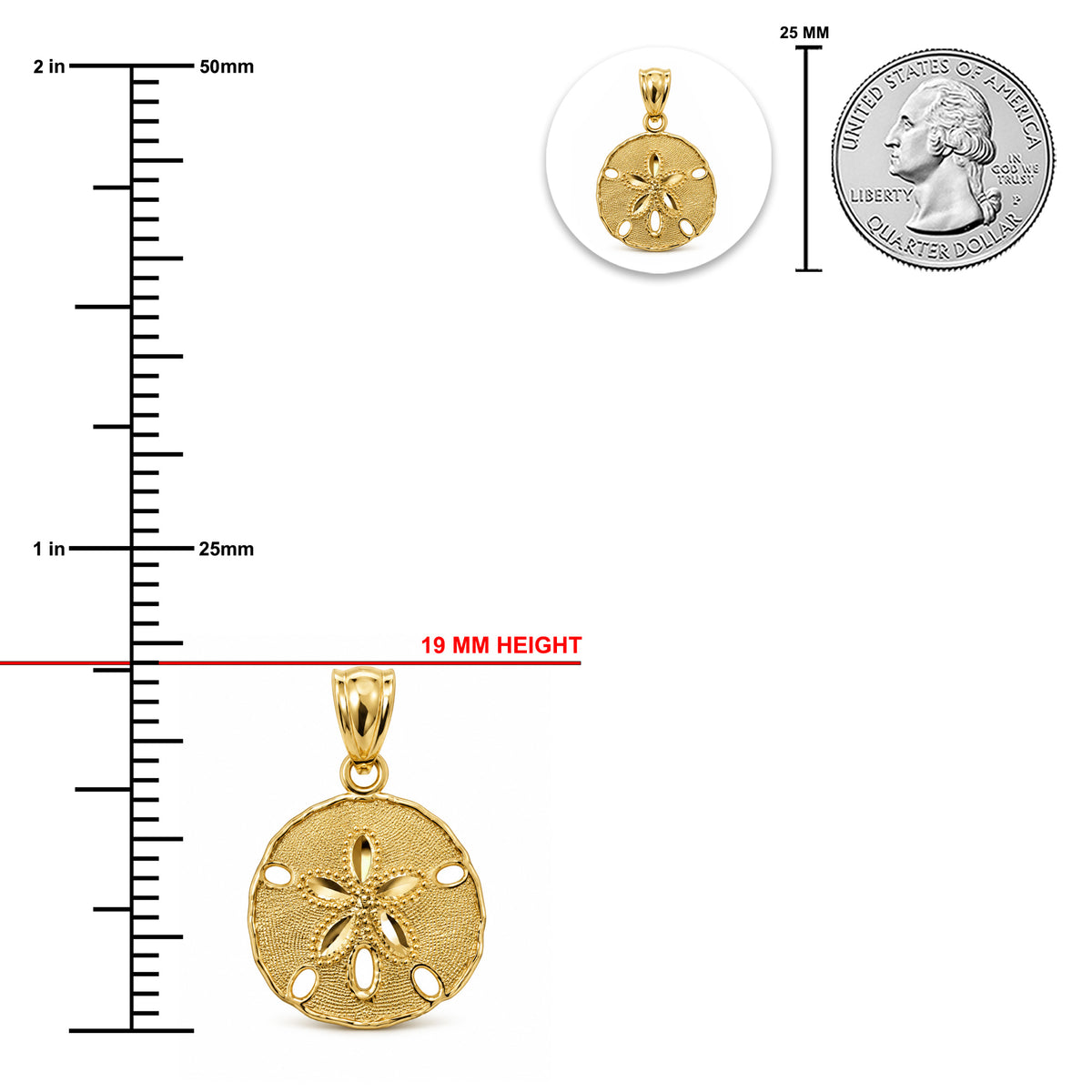 [group: small] gold sand dollar pendant 