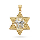 A gold Star of David pendant featuring a silver-colored Chai symbol in the center, set against a clean white background.